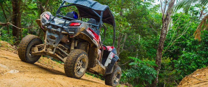 The Evolution and Growth in Popularity of UTVs
