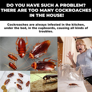 Cockroach Killer Star Bait Station Pest Control USA Warehouse 🇺🇸 - 0