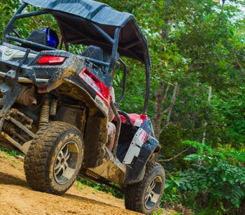 The Evolution and Growth in Popularity of UTVs