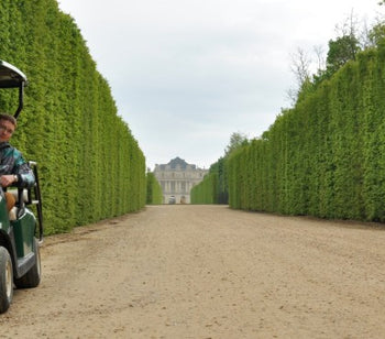 A person riding in a golf cart down a dirt pathway with plants on each side. The color of the golf cart is green.