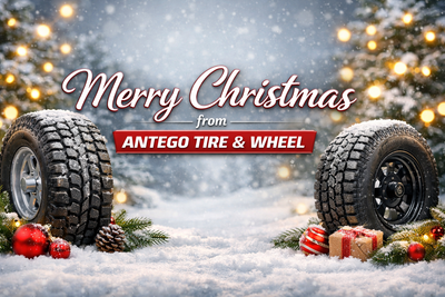 Merry Christmas from Antego!