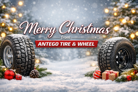 Merry Christmas from Antego!