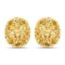 18K Yellow Gold Plated 4.06 Carat Genuine Citrine .925 Sterling Silver Earrings-1