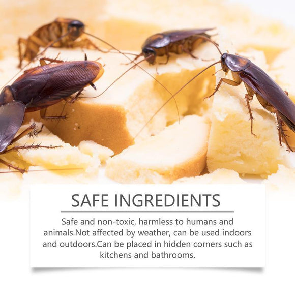 One Year No Cockroaches Home Cockroach Bait Sticker