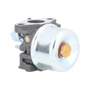 Hipa 798653 Carburetor Kit for Briggs & Stratton 697354 790290 791077 698860 5.5HP 6HP 110432 110492 110412 111432 Engine Lawn mower-9