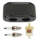 Hipa 127-9252 136-7806 SS5000 Air Filter for Toro Timecutter 42 Inch 50 Inch Riding Mower SW4200 SW5000 SS4250 SS5000 Parts-1