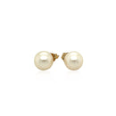 14k Yellow Gold Freshwater Cultured White Pearl Stud Earrings (7.0 mm)-2