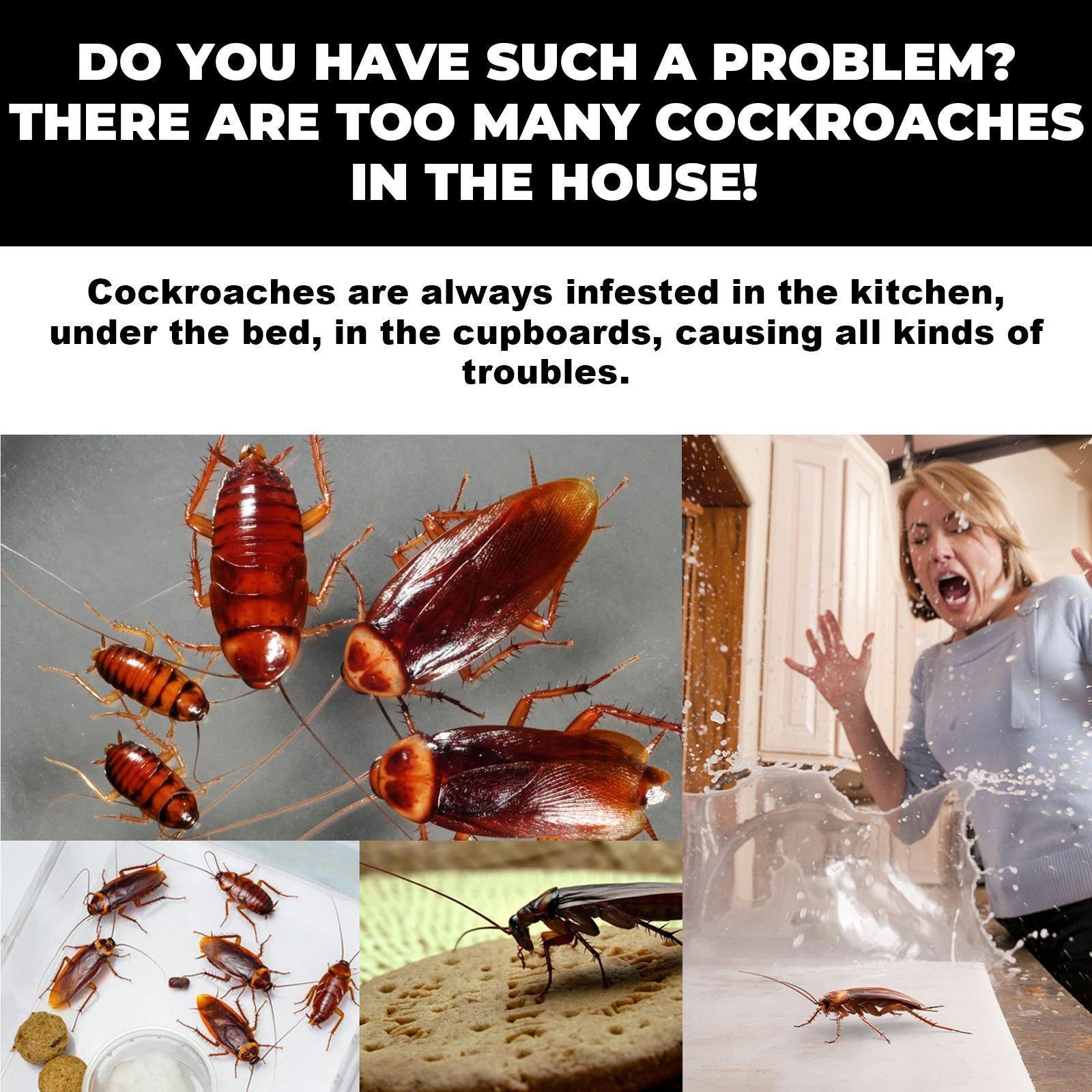 Cockroach Killer Star Bait Station Pest Control USA Warehouse 🇺🇸 - 0