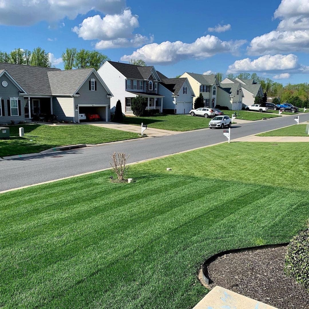 Lawn Synergy Ammonium Sulfate Fertilizer - Thumbnail 3