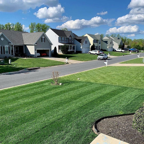 Ammonium Sulfate 21-0-0 Sprayable Fertilizer