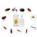 Insecticide Flea, cockroach bait Powder Household Bed Go Up To Kill Tide Insect Medicine Indoor Bedbugs-5