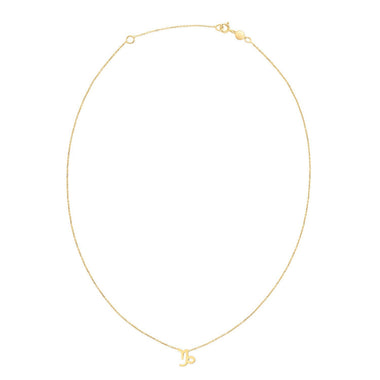 14K Yellow Gold Capricorn Necklace - 0