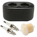 Hipa 127-9252 136-7806 SS5000 Air Filter For Toro Timecutter 42 Inch 50 Inch Riding Mower SW5000 SW4200 SS4250 Parts 74731 74726 74723 74741 74657 74661 74667 74675 74680 Lawn Mowers-1