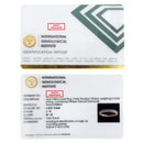 IGI Certified 1/2 Cttw Diamond 10K Yellow Gold Prong Set Beaded Milgrain Band Style Ring (J-K Color, I2-I3 Clarity) - Size 7-10