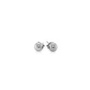 14k White Gold Classic Round Stud Earrings (5.0 mm)-2