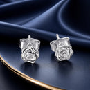 925 Sterling Silver Earrings for Women-2