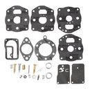 Carburetor Rebuild Kit for Briggs & Stratton 694056 402707 422437 422442 422445 Engine Toro 30116 Lawn Mower Replace 394502 491539-6