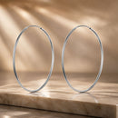 S925 Sterling Silver Earrings for Women-1