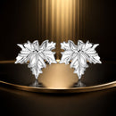 925 Sterling Silver Earrings for Women-1