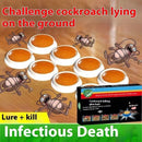 Non-toxic Killing Whole Nest Sticky Note Powerful Roach Killer-1