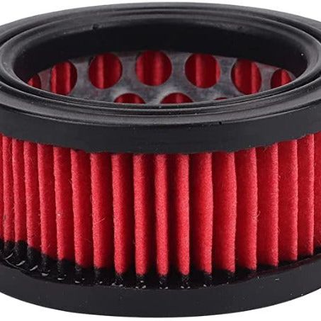 Hipa (Pack of 2) 13030039730 Air Filter for Echo CS370 CS370F CS400 CS400F CS420ES CS3500 CS4200ES CS5000 Chainsaw
