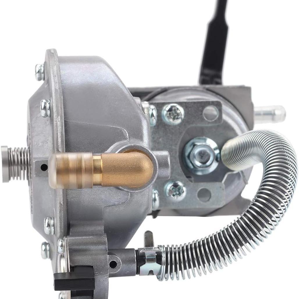 Hipa GX160 GX200 Dual Fuel Carburetor for HONDA GX 160 GX 200 Gasoline/LPG Conversion Kit 2KW 2.8KW 170F Generator Water Pump