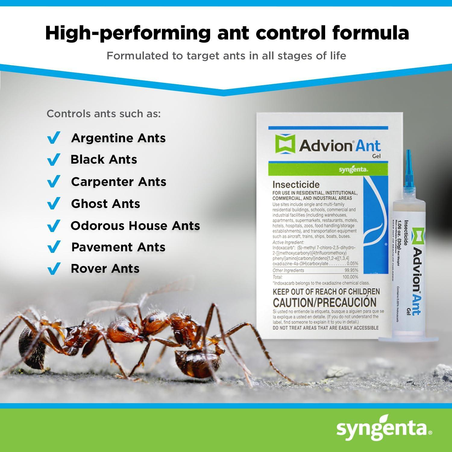 Advion Ant Gel Bait, 1 30-Gram Tube, 1 Plunger and 1 Tip, Effective Bait, Formulated with 0.05% Indoxacarb, Indoor and Outdoor Use, Killer Gel for Control of Most Major Ant Species - 0