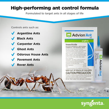 Advion Ant Gel Bait, 1 30-Gram Tube, 1 Plunger and 1 Tip, Effective Bait, Formulated with 0.05% Indoxacarb, Indoor and Outdoor Use, Killer Gel for Control of Most Major Ant Species - 0