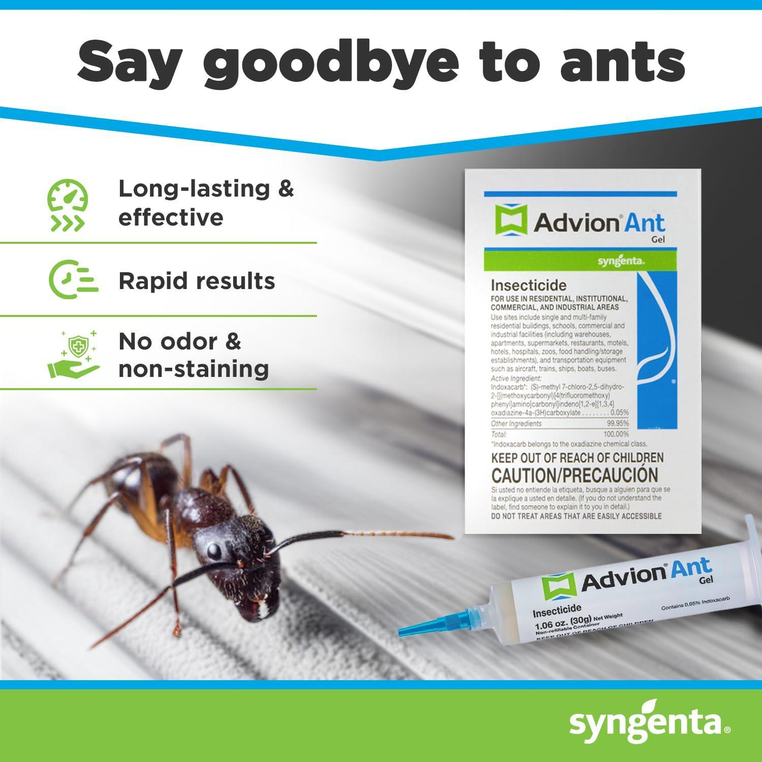 Advion Ant Gel Bait, 1 30-Gram Tube, 1 Plunger and 1 Tip, Effective Bait, Formulated with 0.05% Indoxacarb, Indoor and Outdoor Use, Killer Gel for Control of Most Major Ant Species
