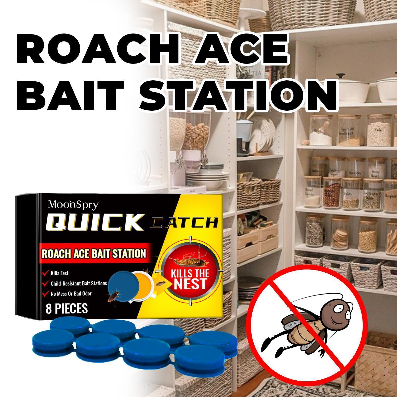 Cockroach Killer Star Bait Station Pest Control USA Warehouse 🇺🇸