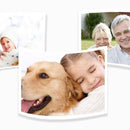 Cockroach House Paste 🪳 | Household Trap & Killer 🚫 | Effective Roach Control-4