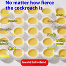 Non-toxic Killing Whole Nest Sticky Note Powerful Roach Killer-4