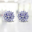 2.52 Carat Genuine Tanzanite .925 Sterling Silver Earrings-1