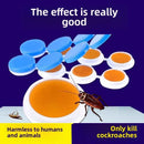 One Year No Cockroaches Home Cockroach Bait Sticker-7