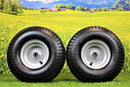 Antego Tire & Wheel (Set of 2) 15x6.00-6 Tire and Wheel Assemblies, ATW-003, 4 Ply Turf Tires, .75" Precision Ball Bearings, Poulan/Husqvarna Mower Front Tires, and Honda Lawn Mower Tires 15x6.00-6-4
