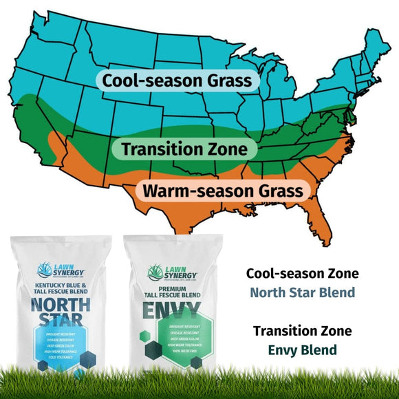 North Star Grass Seed | Premium Kentucky Bluegrass & Tall Fescue Blend