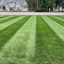 Crown Jewel Elite Tall Fescue Grass Seed - 50 lbs.-3