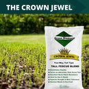 Crown Jewel Elite Tall Fescue Grass Seed - 50 lbs.-4