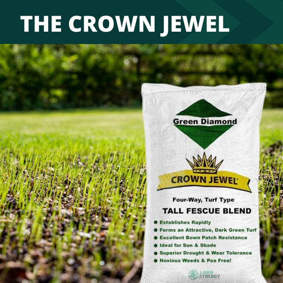 Crown Jewel Elite Tall Fescue Grass Seed - 50 lbs.