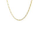 3.2mm 14k Yellow Gold Oval Rolo Chain-9