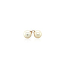 14k Yellow Gold Freshwater Cultured White Pearl Stud Earrings (6.0 mm)-6