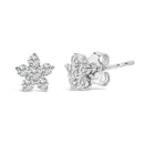 10K White Gold 1/2 Cttw Lab Grown Diamond Star Stud Earrings-2