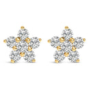 10K White Gold 1/2 Cttw Lab Grown Diamond Star Stud Earrings-4