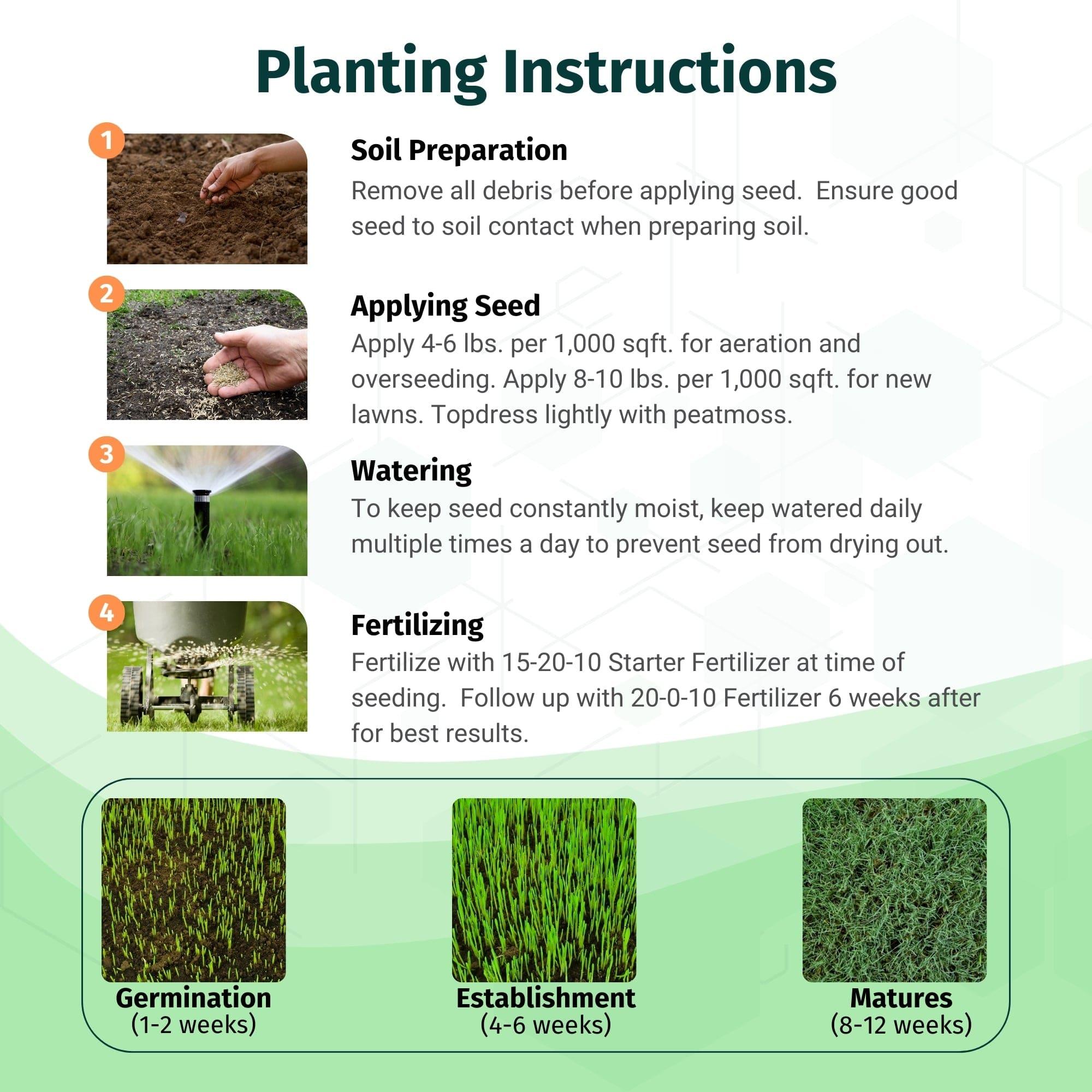 steps to planting grass seed in the fall Envy Premium Tall Fescue Grass Seed Blend