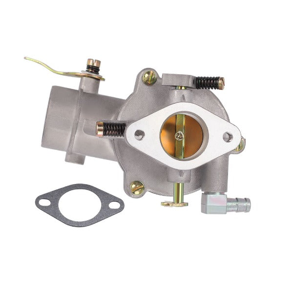 Hipa 490419 Carburetor Kit for BS Engine Toro 38070 38060 31756 31820 Snow Blower Replace 390323 394228