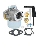 Hipa Carburetor Kit for Briggs & Stratton 798653 697354 795069 698860 790290 698859 696981 5.5HP 6HP 110432 110492 110412 111432 Engine Lawn Mower-4