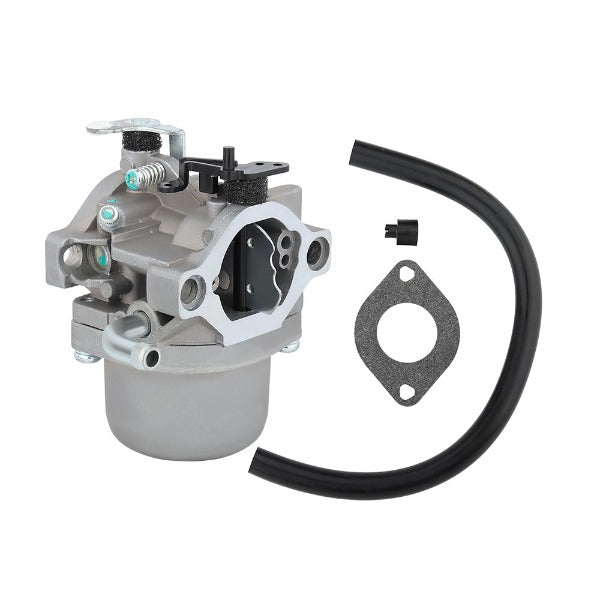 Hipa 590399 Carburetor Kit for for 796077 Briggs & Stratton 21A707 21R ...