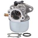 Hipa 799868 Carburetor Kit for Briggs Stratton 6.0 650 Series 190cc Engine 497586 498170 498254 497314 497347 694202 693909 692648 498255 Motor Mower-4