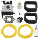 Hipa Carburetor Kit For Toro 51945 51946 51947 51948 25.4 cc Gas String Trimmer Blower F-Series Trimmer # 308480001 Walbro WYC-7-2
