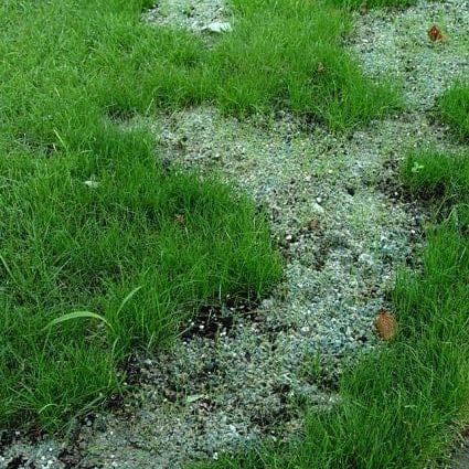 Seed Aide Cover Grow - Water Retaining Seed Starting Mulch